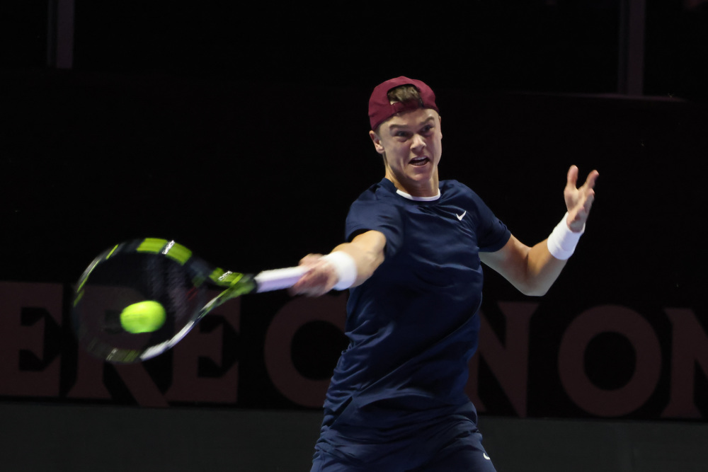 所以每一张 所以每一张