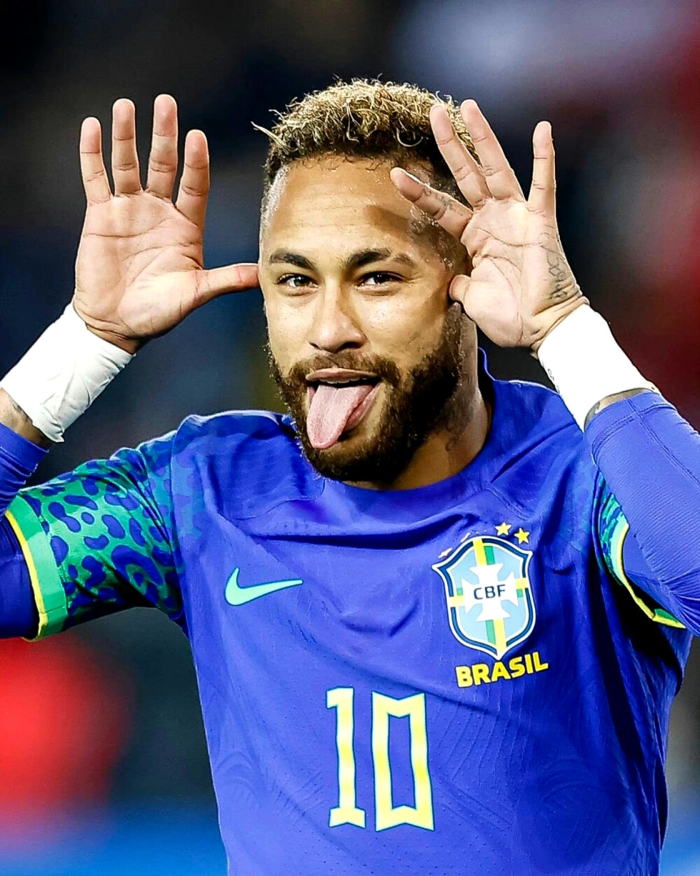 志力和执行 志力和执行