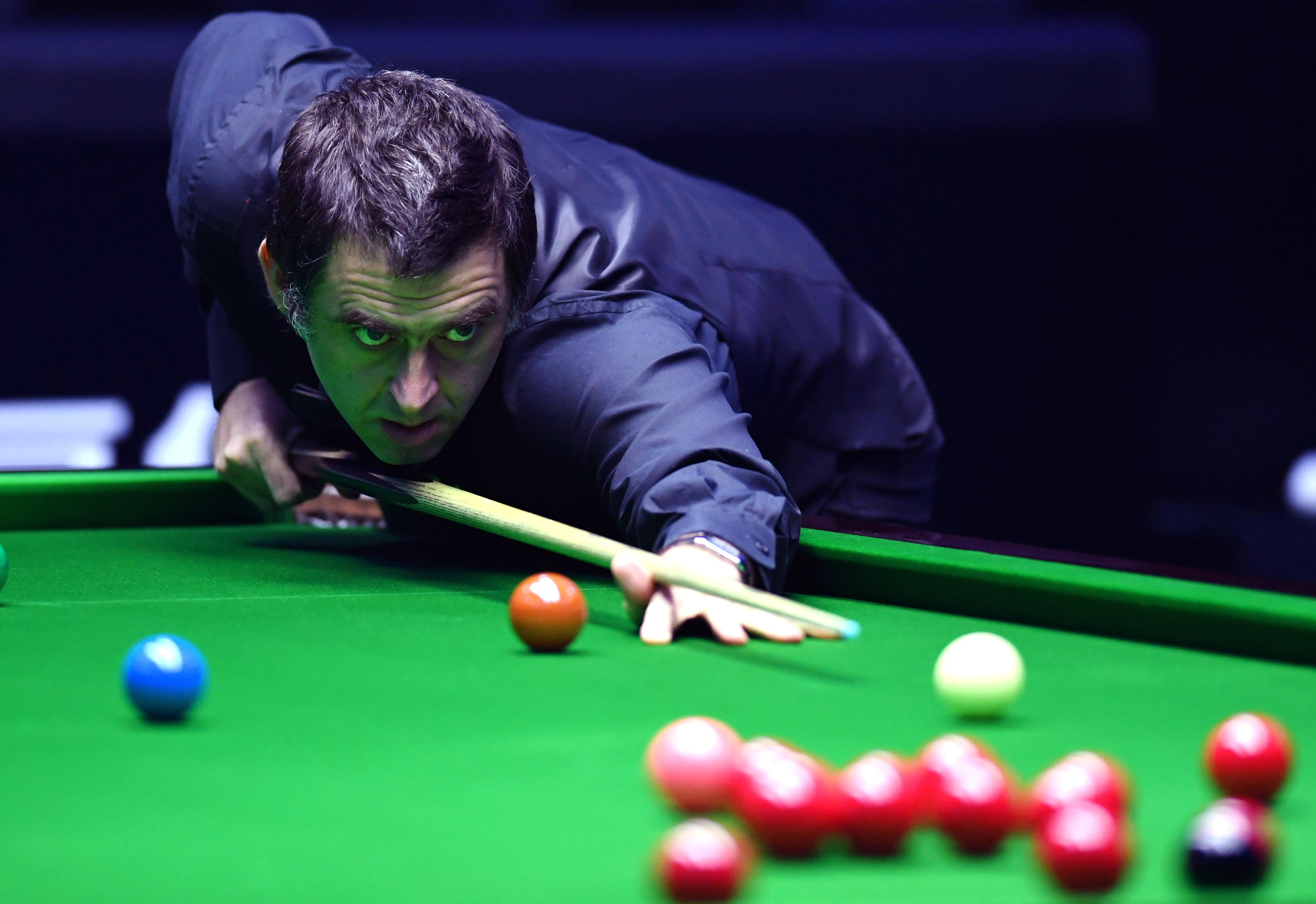 马近年来的 马近年来的